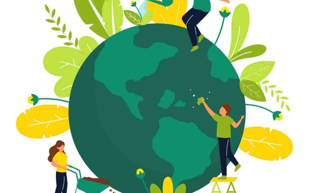 Sustainability in Business: Taking Small Steps for a Huge Impact